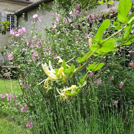 Bed and breakfast Chambres D'hotes La Garlande *